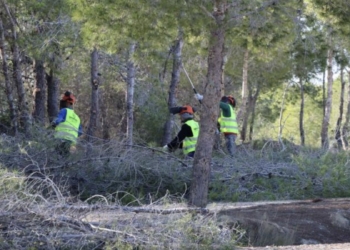 Benidorm licita el proyecto para el desarrollo de actuaciones contra incendios en el parque urbano de El Moralet