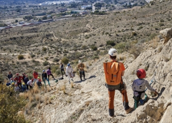 Música a la sombra del emblemático castaño de indias de Petrer es la propuesta de la nueva actividad de Naturacción