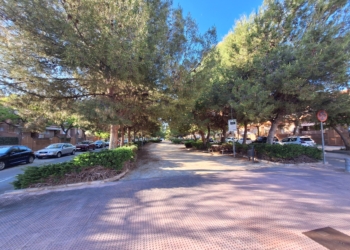 El Ayuntamiento invertirá más de un millón de euros para implantar 430 nuevas luminarias más eficientes en la avenida de l’Almassera