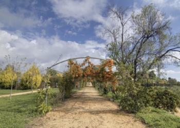 El jardín Escultórico Klein Schreuder de l’Alfàs acogerá el acto institucional del Día de Europa