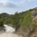 Medio Ambiente solicita a la Generalitat Valenciana la retirada de pinos secos en la Sierra de Crevillent