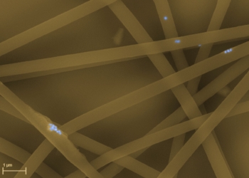 Un grupo de investigación explora el potencial de los nanobiomateriales para tratamientos médicos