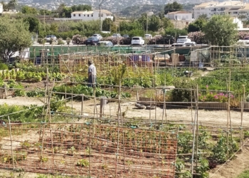 Se abre el periodo de solicitud de los huertos urbanos vacantes