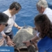Nuca, la tortuga rescatada hace dos meses del puerto de Torrevieja regresa al mar tras recuperarse en el Oceanogràfic