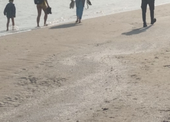 Camina Torrevieja, la iniciativa para mejorar la salud paseando