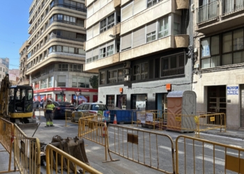 El plan Elx Natura continúa en el Centro y Carrús con la plantación de más de 200 árboles