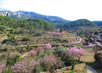 Los aranceles de EEUU amenazan 2.850 millones para la Comunitat Valenciana