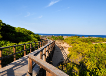 Elche conserva sus cinco Banderas Azules en las playas para este verano