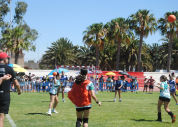 Santa Pola celebra su XII edición del Torneo de Balonmano Hierba