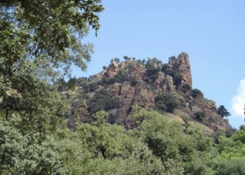 La Generalitat concede 7,9 millones de euros a 418 ayuntamientos para la prevención de incendios y la gestión forestal