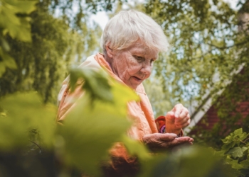 València aumenta la esperanza de vida con casi 400 personas centenarias, 20 más que en 2024