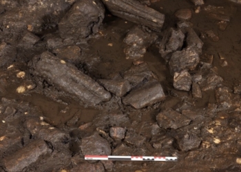 Identifican más de un centenar de estructuras prehistóricas y modificaciones del karst en la Cova Dones de Valencia