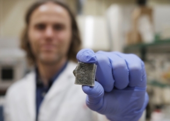 Crean un material basado en algas marinas capaz de generar electricidad y prevenir incendios