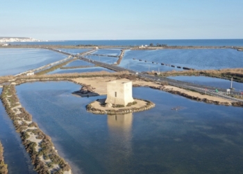 El Grupo de Bioquímica Aplicada de la UA presenta su investigación sobre los microorganismos de las salinas de Santa Pola