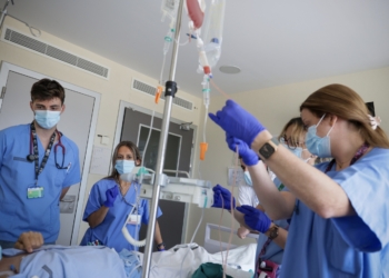 El Hospital La Fe supera los 100 trasplantes de médula ósea de donante en pacientes adultos en un año