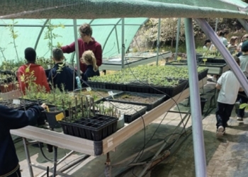 Alcoy cierra el curso escolar con cerca de 5.000 alumnos participantes en las actividades de educación ambiental