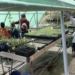 Alcoy cierra el curso escolar con cerca de 5.000 alumnos participantes en las actividades de educación ambiental