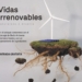 Medio Ambiente proyecta el documental ‘Vidas Irrenovables’