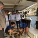 Bogamarins, caballitos de mar y una tortuga han sido liberados al mar de Xàbia