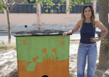 Los artistas eldenses Noba41 y Taone decoran las casetas de las colonias felinas de la ciudad para convertirlas en obras de arte urbano