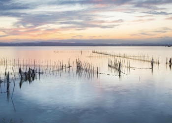 La Concejalía de Devesa-Albufera ofrece de nuevo este año paseos en barca al atardecer en el marco de la Gran Feria de València