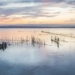 La Concejalía de Devesa-Albufera ofrece de nuevo este año paseos en barca al atardecer en el marco de la Gran Feria de València