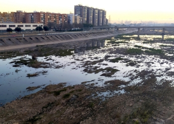 El Ayuntamiento exigirá a la CHJ la limpieza urgente del cauce del Túria