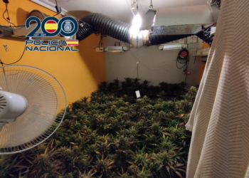 La Policía Nacional desarticula un grupo criminal dedicado al cultivo “indoor” de marihuana