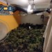 La Policía Nacional desarticula un grupo criminal dedicado al cultivo “indoor” de marihuana