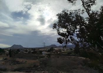 Las grandes y sucesivas oleadas