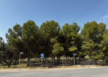 San Vicente da un paso más para la renovación del espacio verde y la zona recreativa del barrio del Tubo