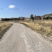 Villena impulsa su red viaria rural