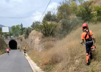 Alcoy se prepara para evitar este verano los incendios forestales