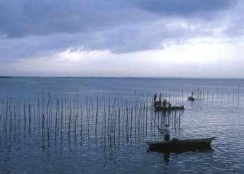 València autoriza un estudio batimétrico para conocer el estado de la Albufera tras la riada