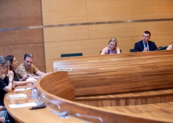 Las asociaciones de víctimas de la dana piden en la Diputació mayor coordinación entre instituciones en las labores de reconstrucción