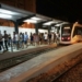 TRAM d’Alacant refuerza el servicio nocturno del TRAMnochador con motivo del Low Festival