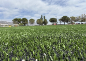 Finalizan las obras de renovación del césped en el campo Manuel Moreno Cabanes