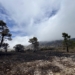 Martínez Mus confirma que ya se trabaja en el plan de recuperación tras el incendio que ha afectado al parque natural de la Font Roja