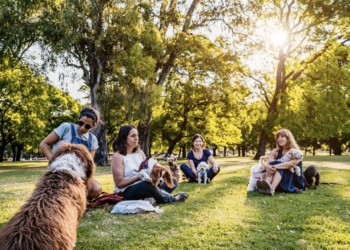 València realiza el primer gran estudio para mejorar la convivencia de personas y animales domésticos