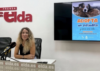 Protección Animal lanza una campaña de adopción responsable contra el abandono y la compra de mascotas