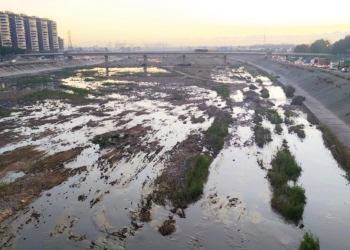 El Ayuntamiento solicita a la CHJ iniciar el martes que viene la limpieza del cauce del Túria entre el puente de la V31 y el puente de La Torre