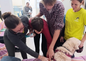 «Son niños muy generosos y agradecidos»