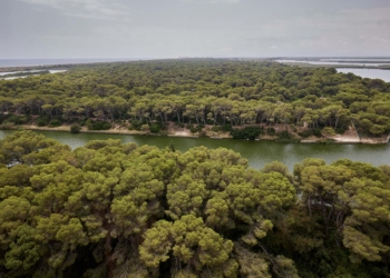 El plan extraordinario de limpieza en La Devesa retira 23.100 litros de basura en solo tres semanas