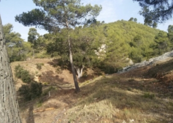 Alcoy ejecutará, con una subvención de la Generalitat, la franja cortafuegos y la mejora del camino entre el Mas dels Capellans y el Mas del Pla