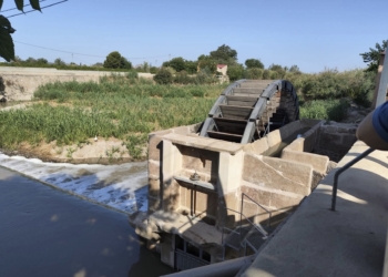 Orihuela prepara un proyecto integral para la conservación de las Norias Gemelas Moquita y Pando