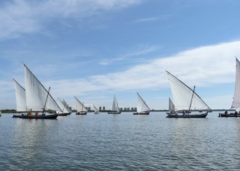 El Servicio de Devesa-Albufera autoriza dos nuevas exhibiciones de vela latina en el lago de l’Albufera