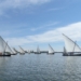 El Servicio de Devesa-Albufera autoriza dos nuevas exhibiciones de vela latina en el lago de l’Albufera