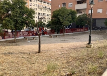 Alcoy mejorará la zona verde de la Avenida Carmen Vidal con nuevas plantaciones y una pista infantil