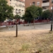 Alcoy mejorará la zona verde de la Avenida Carmen Vidal con nuevas plantaciones y una pista infantil