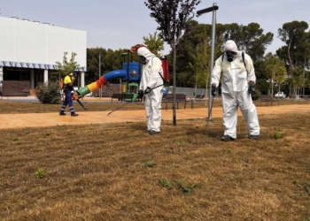 Petrer actúa de urgencia contra una plaga de orugas en la zona ajardinada de Luvi